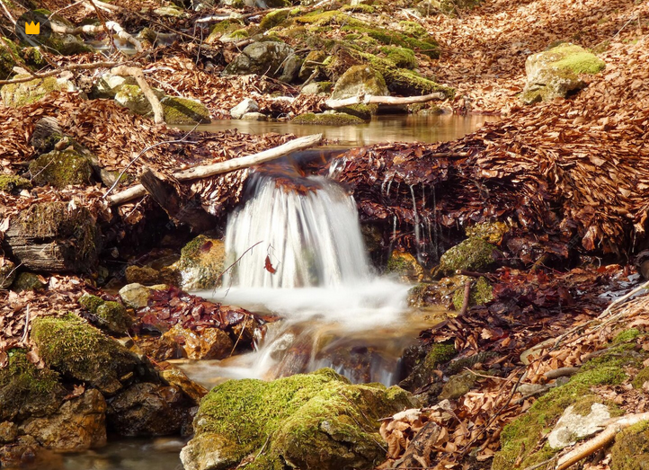 s'assoir, écouter respirer et laisser courir l'écriture en toute liberté et pourquoi pas se lancer dans l'écriture d'une auto biographie